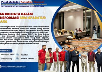 Peran Big Data dalam Transformasi SDM Aparatur Negara