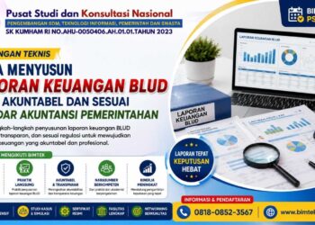 Cara Menyusun Laporan Keuangan BLUD yang Akuntabel dan Sesuai Standar Akuntansi Pemerintahan